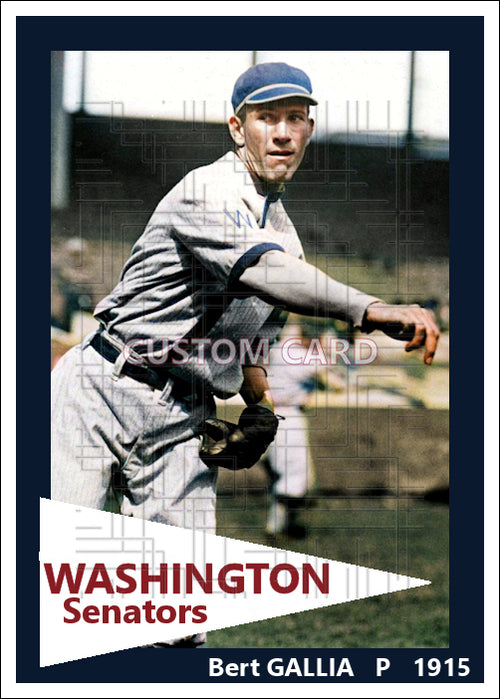 Bert Gallia - 1915 Washington Senators - choose a size & style