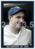 Bert Griffith - 1925 Washington Senators - choose a size & style