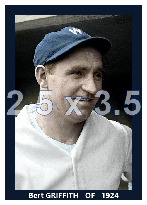 Bert Griffith - 1925 Washington Senators - choose a size & style