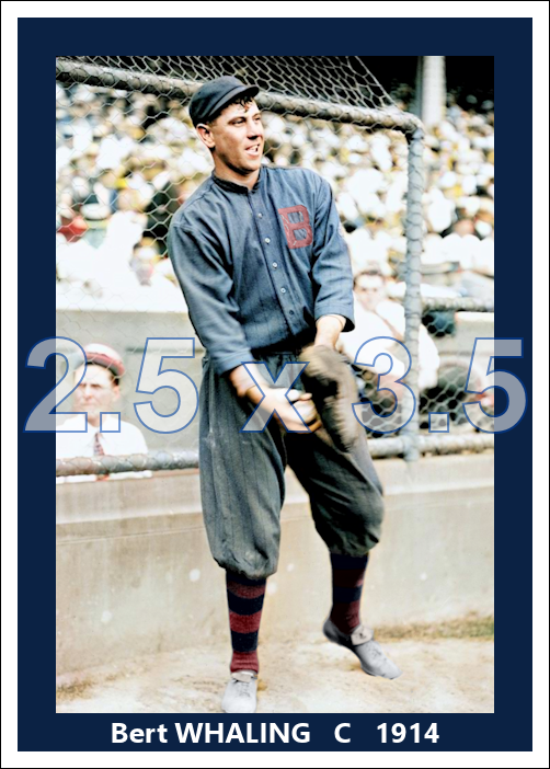 Bert Whaling - 1914 Boston Braves - choose a size & style