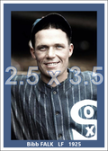 Bibb Falk - 1925 Chicago White Sox - choose a size & style