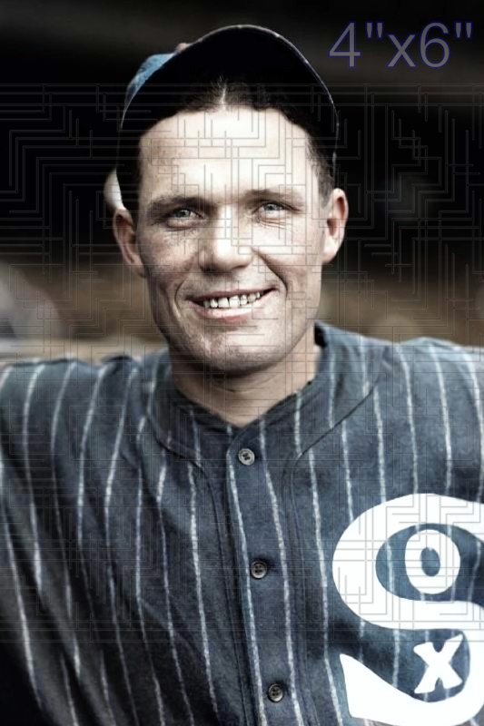 Bibb Falk - 1925 Chicago White Sox - choose a size & style