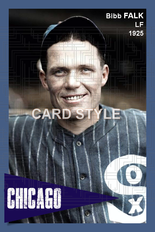 Bibb Falk - 1925 Chicago White Sox - choose a size & style