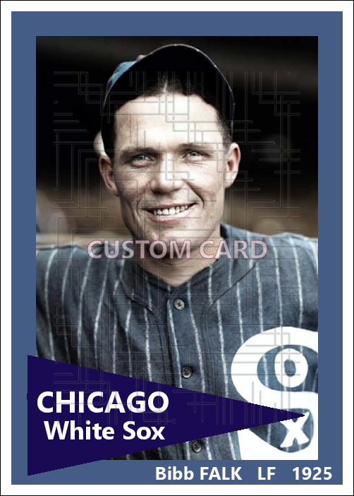 Bibb Falk - 1925 Chicago White Sox - choose a size & style