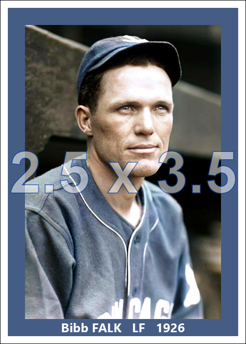 Bibb Falk - 1926 Chicago White Sox - choose a size & style