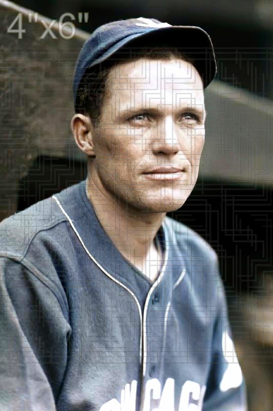 Bibb Falk - 1926 Chicago White Sox - choose a size & style