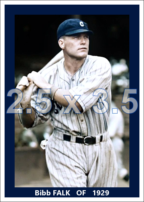 Bibb Falk - 1929 Cleveland Indians - choose a size & style