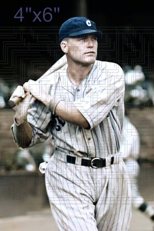 Bibb Falk - 1929 Cleveland Indians - choose a size & style