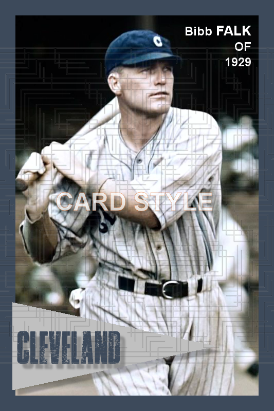 Bibb Falk - 1929 Cleveland Indians - choose a size & style