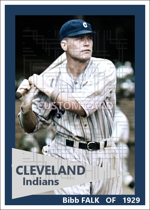 Bibb Falk - 1929 Cleveland Indians - choose a size & style