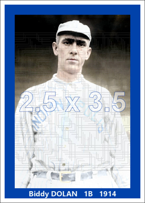 Biddy Dolan - 1914 Indianapolis Hoosiers - choose a size & style