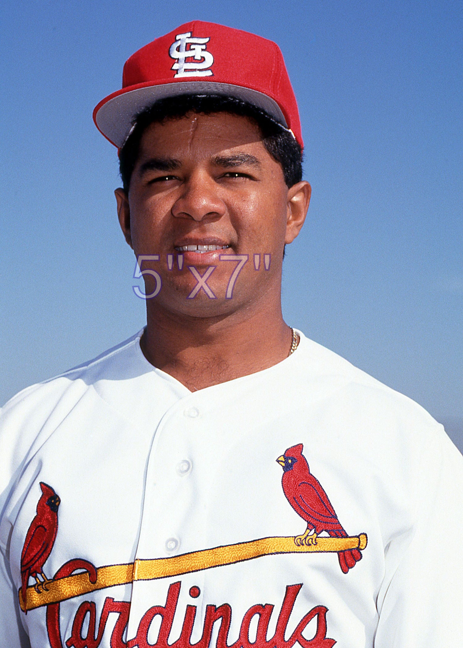 Bien Figueroa - 1992 St. Louis Cardinals - choose a size & style