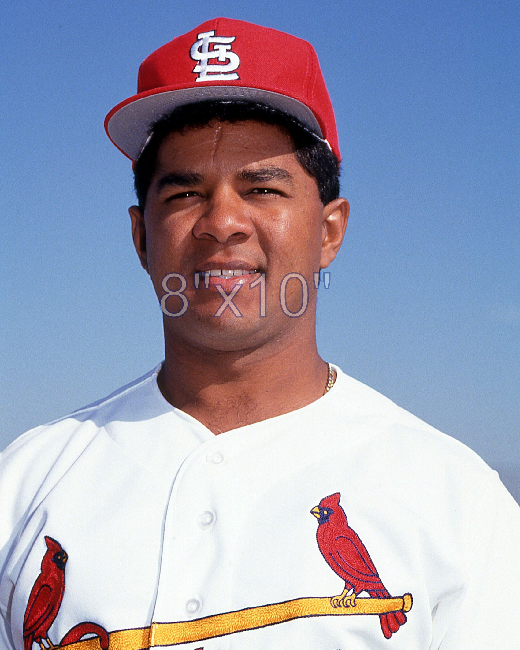 Bien Figueroa - 1992 St. Louis Cardinals - choose a size & style