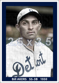Bill Akers - 1930 Detroit Tigers - choose a size & style