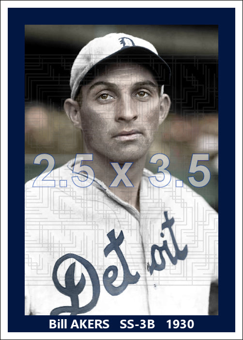 Bill Akers - 1930 Detroit Tigers - choose a size & style