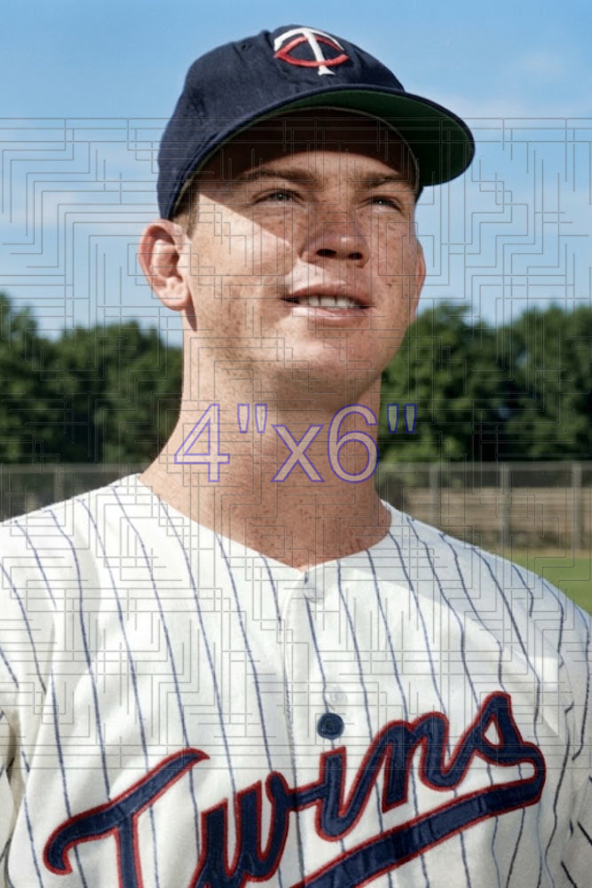 Bill Bethea - 1964 Minnesota Twins - choose a size & style