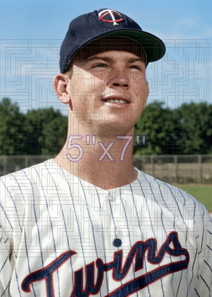 Bill Bethea - 1964 Minnesota Twins - choose a size & style