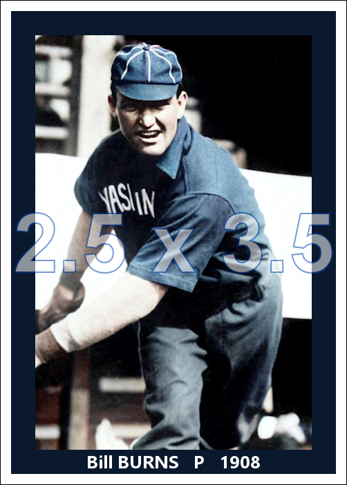 Bill Burns - 1908 Washington Senators - choose a size & style