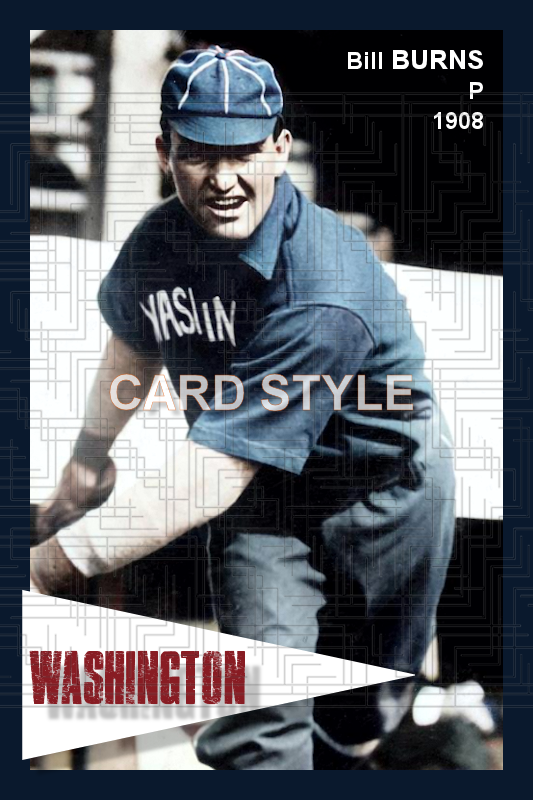 Bill Burns - 1908 Washington Senators - choose a size & style