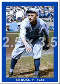 Bill Doak - 1924 Brooklyn Robins - choose a size & style