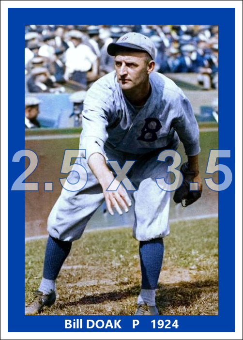 Bill Doak - 1924 Brooklyn Robins - choose a size & style