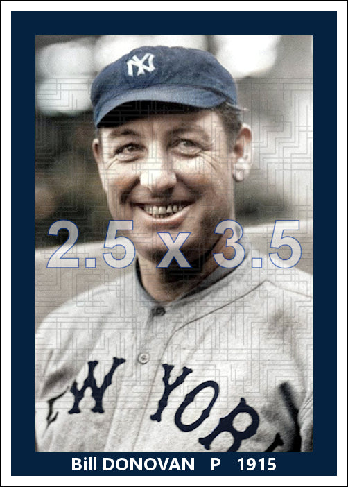 Bill Donovan - 1915 New York Yankees - choose a size & style
