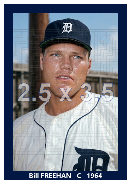 Bill Freehan - 1964 Detroit Tigers - choose a size & style