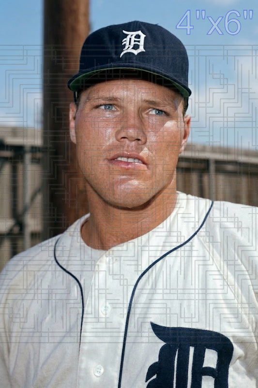 Bill Freehan - 1964 Detroit Tigers - choose a size & style