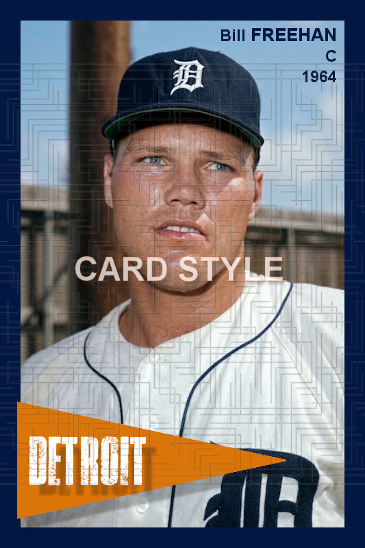 Bill Freehan - 1964 Detroit Tigers - choose a size & style