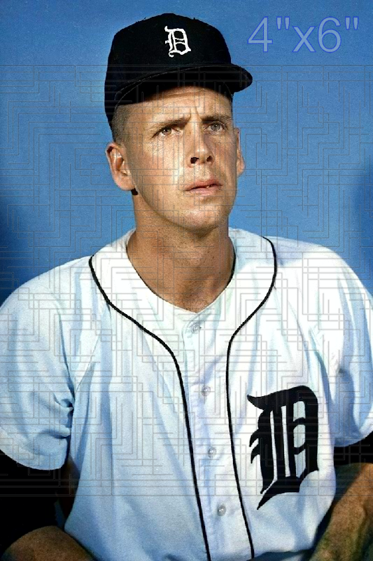Bill Graham - 1966 Detroit Tigers - choose a size & style