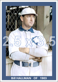 Bill Hallman - 1903 Chicago White Sox - choose a size & style