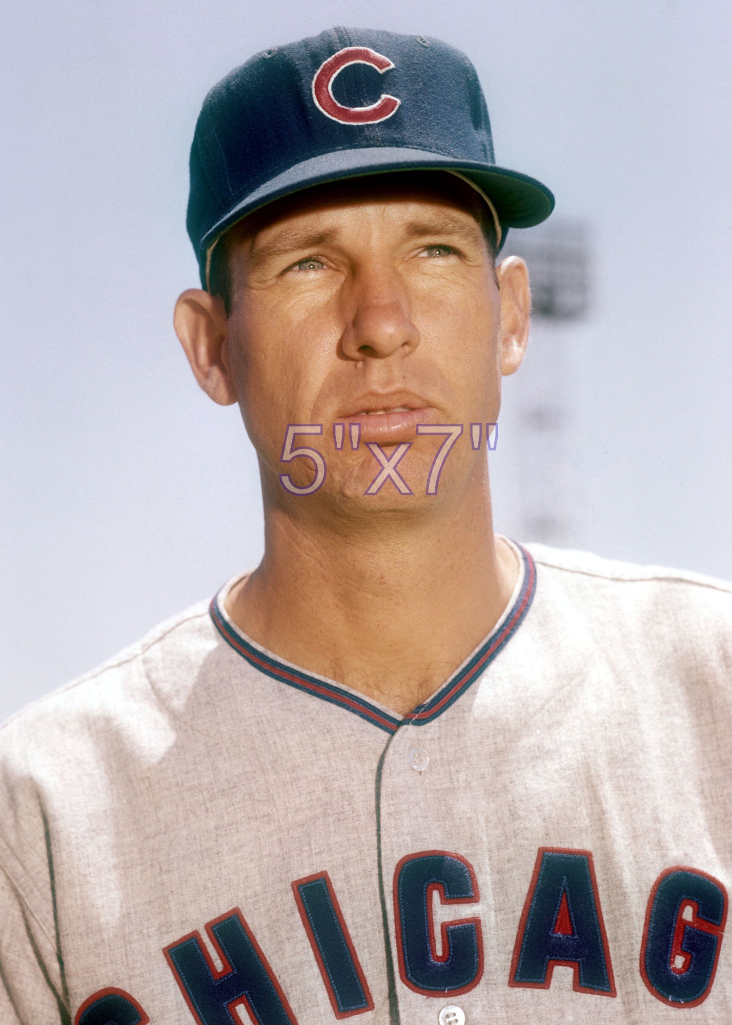 Bill Henry - 1959 Chicago Cubs - choose a size & style