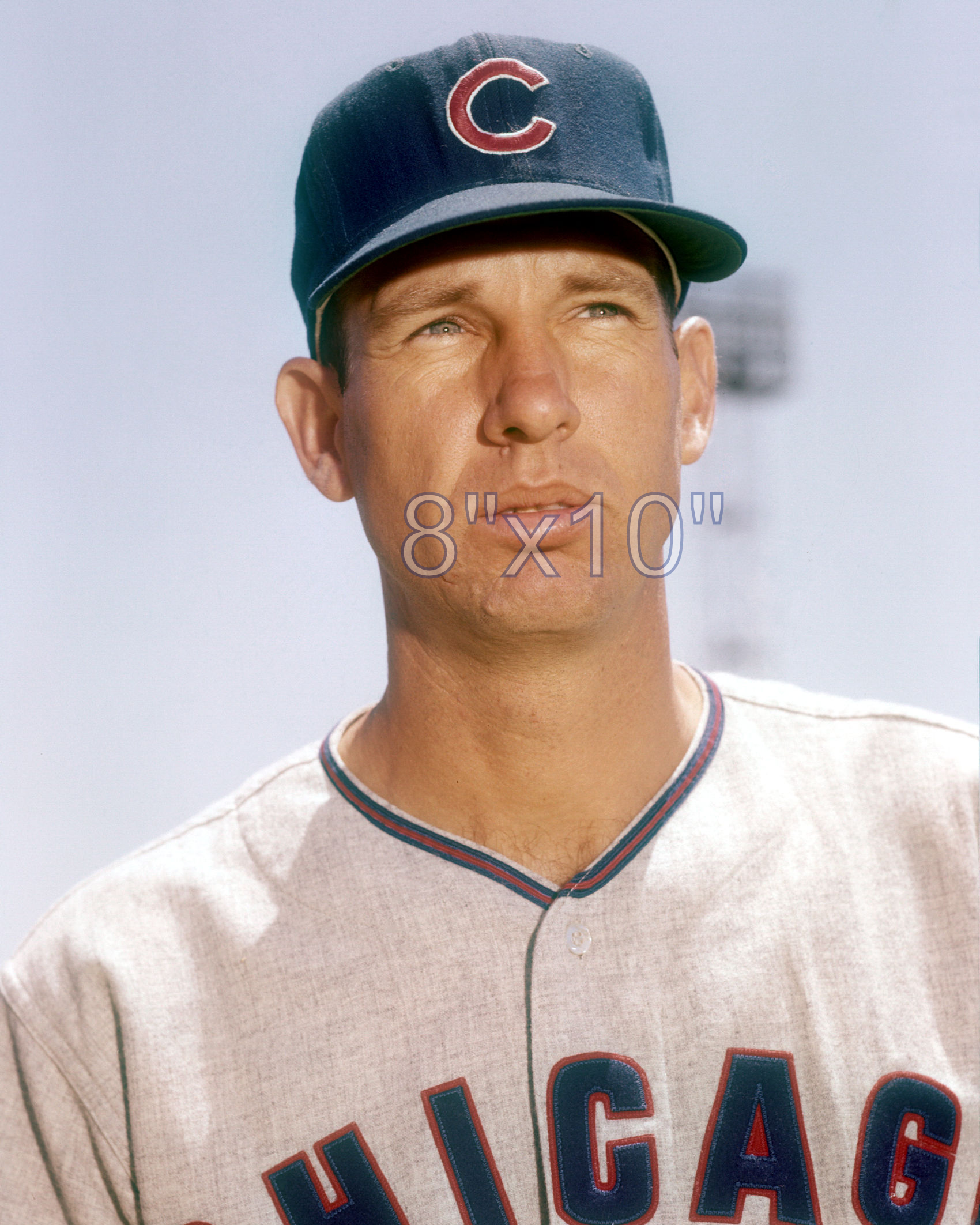 Bill Henry - 1959 Chicago Cubs - choose a size & style