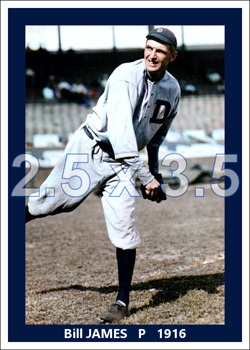 Bill James - 1916 Detroit Tigers - choose a size & style
