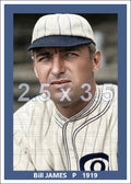 Bill James - 1919 Chicago White Sox - choose a size & style