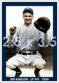 Bill Karlon - 1930 New York Yankees - choose a size & style