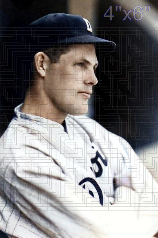 Bill Lawrence - 1932 Detroit Tigers - choose a size & style