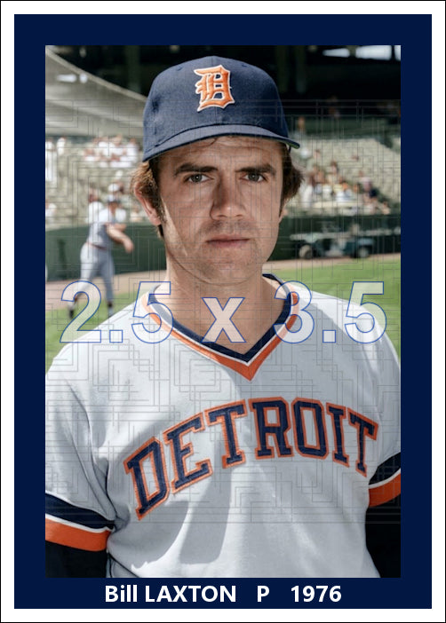 Bill Laxton - 1976 Detroit Tigers - choose a size & style