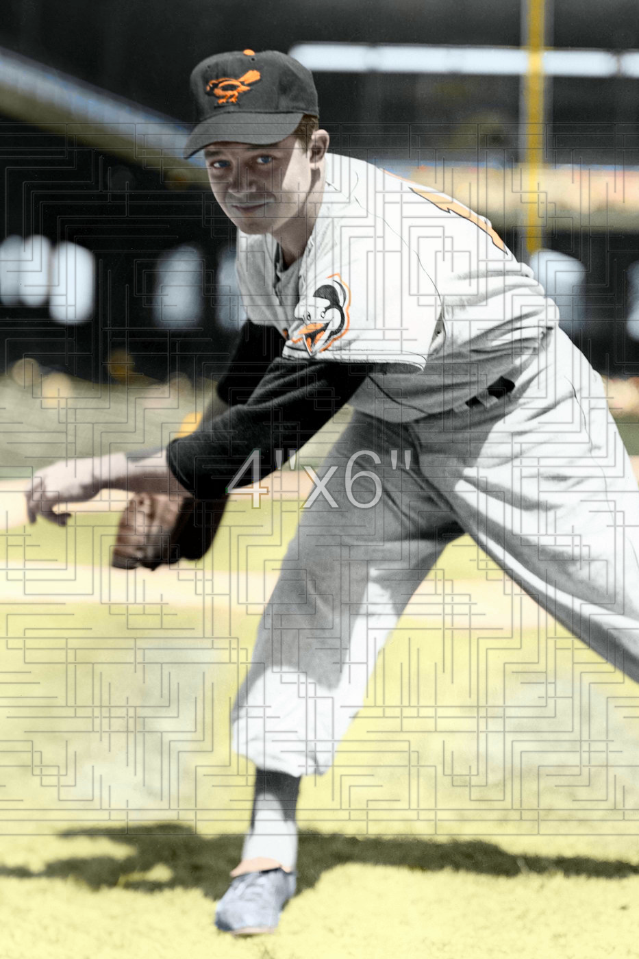 Bill Miller - 1955 Baltimore Orioles - choose a size & style