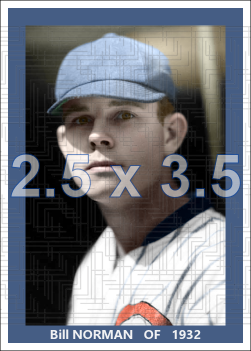 Bill Norman - 1932 Chicago White Sox - choose a size & style