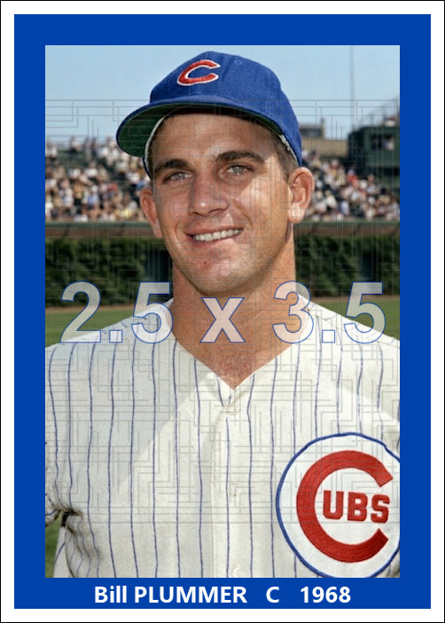 Bill Plummer - 1968 Chicago Cubs - choose a size & style