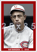 Bill Rariden - 1919 Cincinnati Reds - choose a size & style