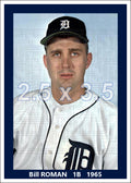 Bill Roman - 1965 Detroit Tigers - choose a size & style