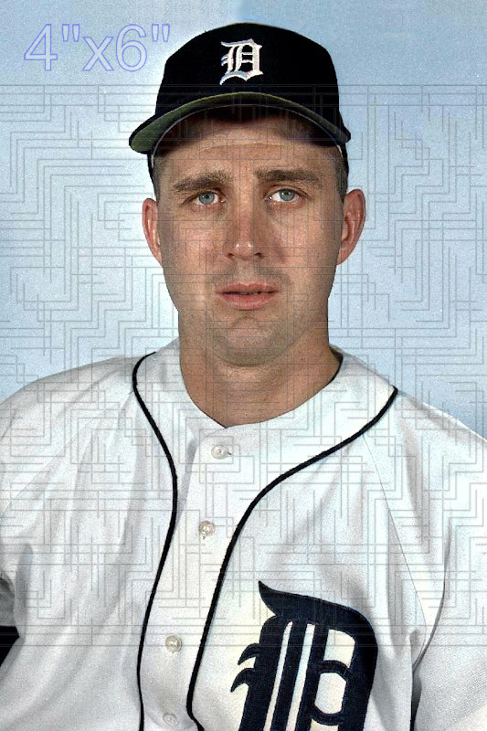 Bill Roman - 1965 Detroit Tigers - choose a size & style