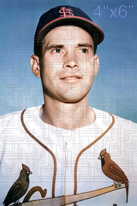 Bill Sarni - 1955 St. Louis Cardinals - choose a size & style