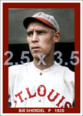 Bill Sherdel - 1920 St. Louis Cardinals - choose a size & style