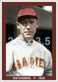 Bill Sherdel - 1930 Boston Braves - choose a size & style