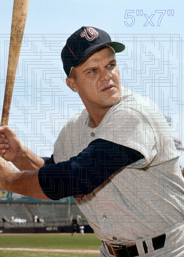 Bill Skowron - 1964 Washington Senators - choose a size & style