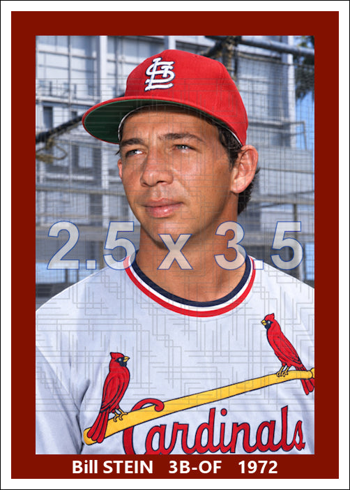 Bill Stein - 1972 St. Louis Cardinals - choose a size & style