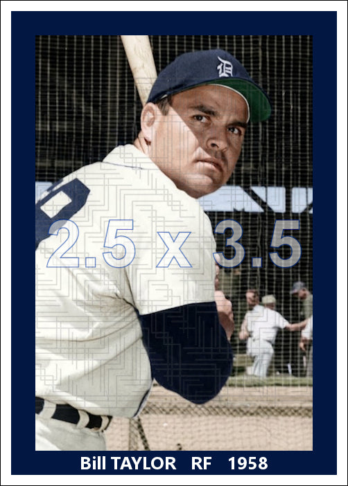 Bill Taylor - 1958 Detroit Tigers - choose a size & style